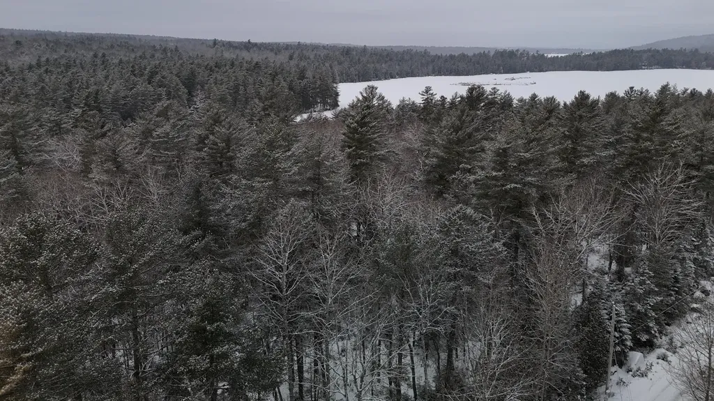 Lot 21-10 Toddy Drive Penobscot ME 04476