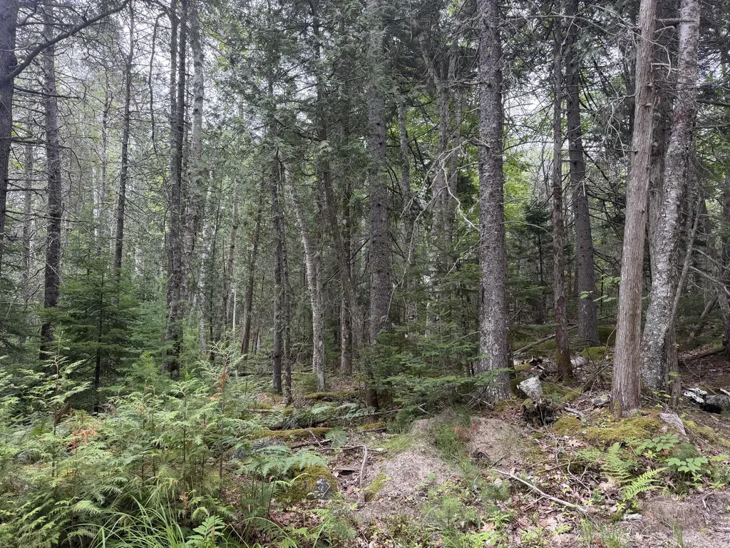 00 Young’s Point Road Brooksville ME 04617
