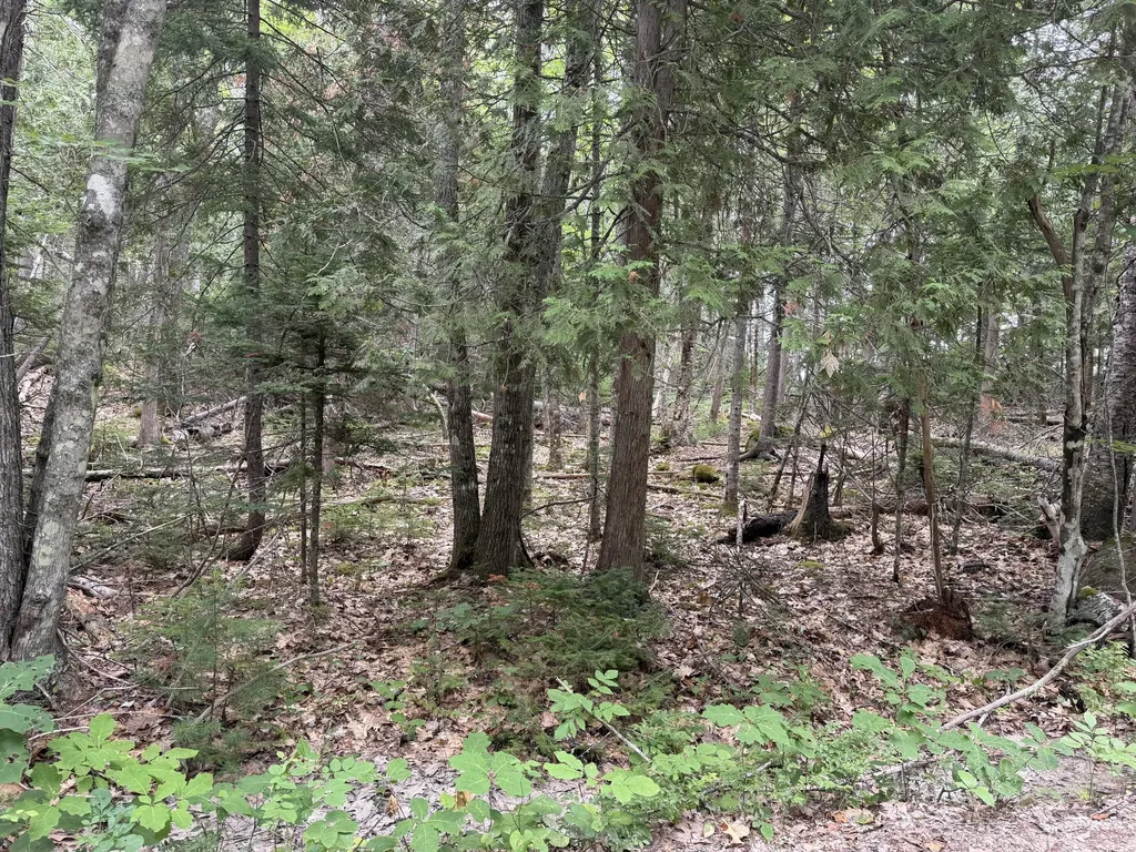 00 Young’s Point Road Brooksville ME 04617