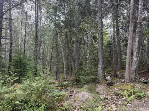 00 Young’s Point Road Brooksville ME 04617
