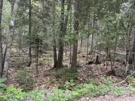 00 Young’s Point Road Brooksville ME 04617