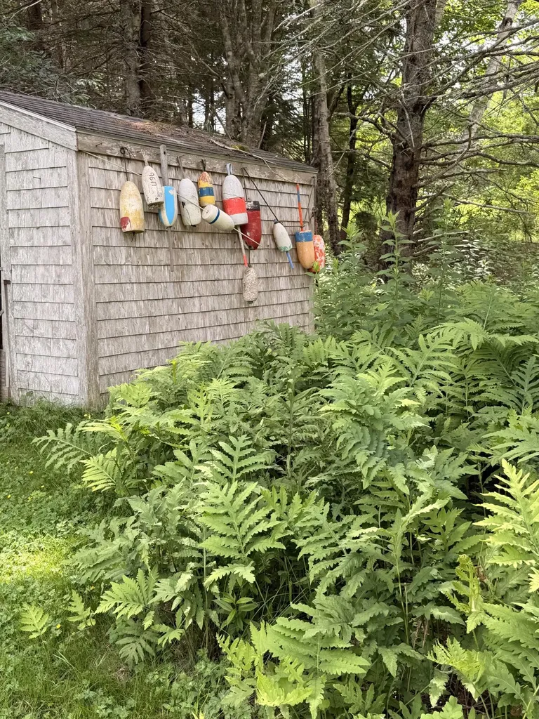 11 Prospero Lane Brooklin ME 04616