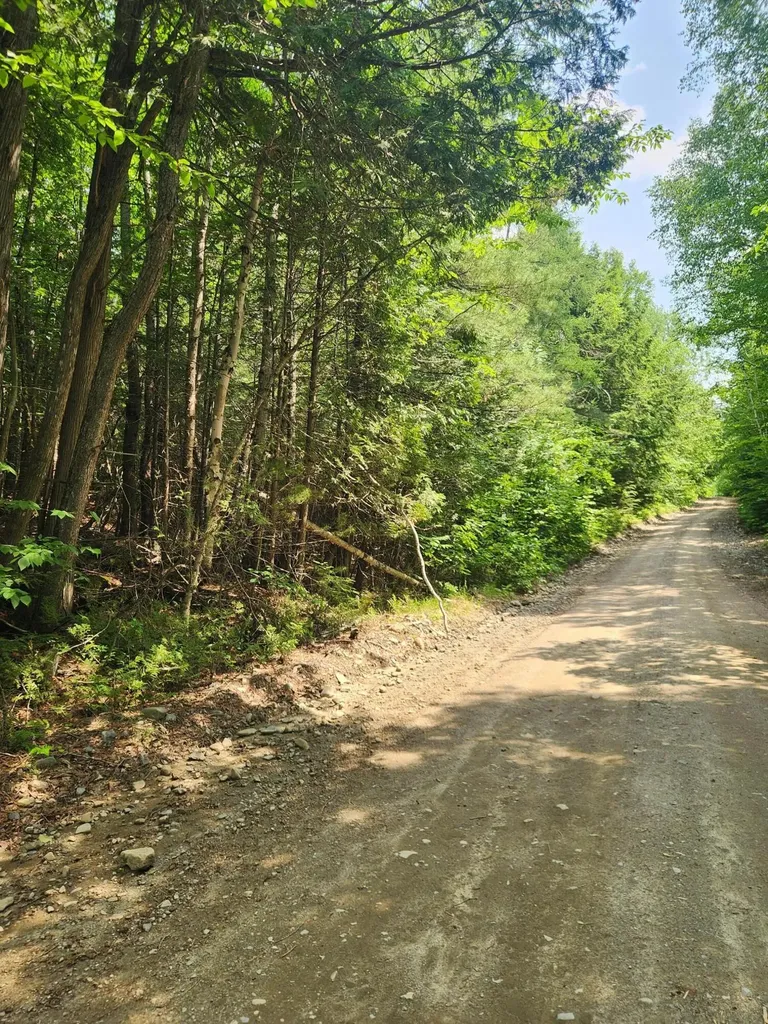 Lot #44 Mill Hill Road Springfield ME 04487