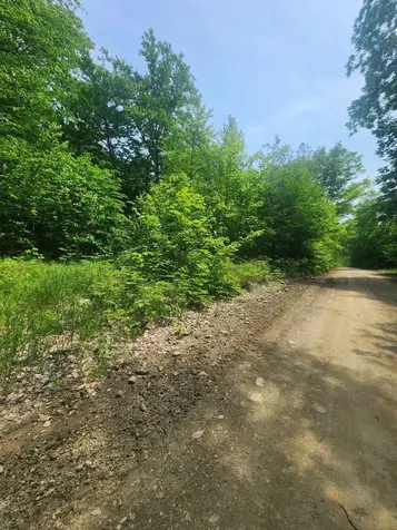Lot #44 Mill Hill Road Springfield ME 04487