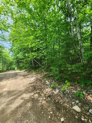 Lot #44 Mill Hill Road Springfield ME 04487
