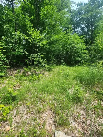 Lot #44 Mill Hill Road Springfield ME 04487