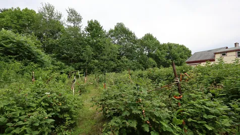 1146 Post Road Bowdoinham ME 04008