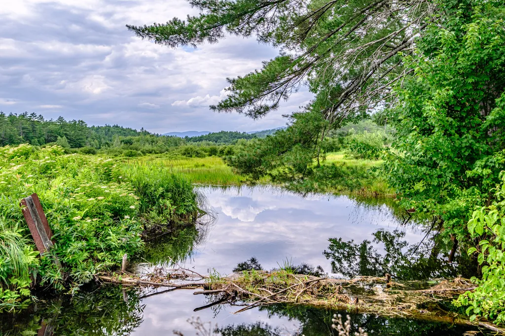 1023 Songo Pond Road Albany Twp ME 04217