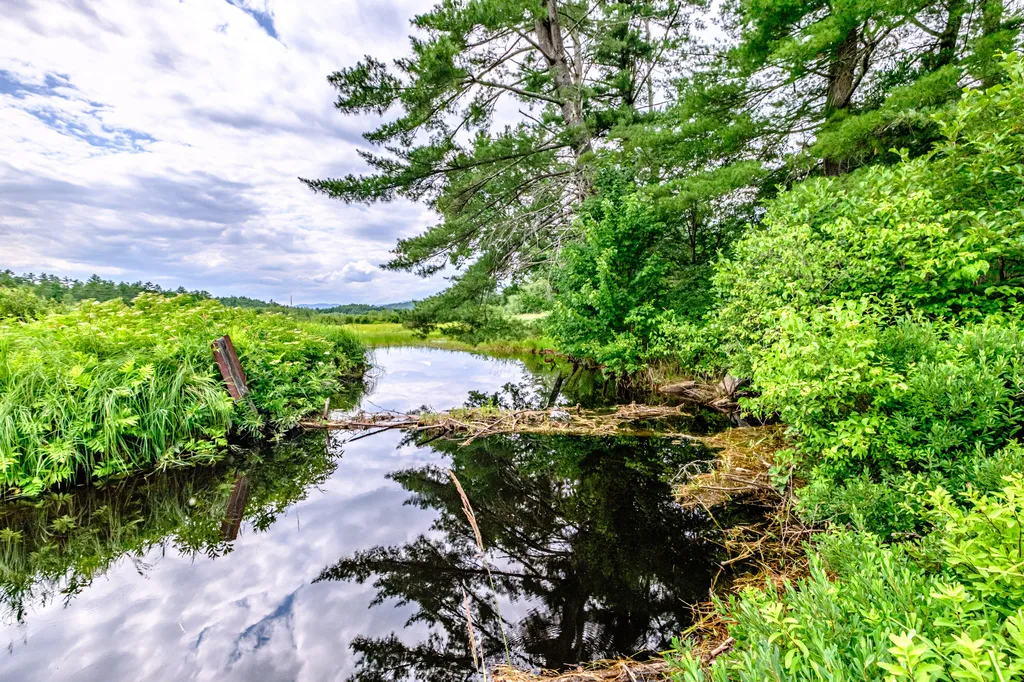 1023 Songo Pond Road Albany Twp ME 04217