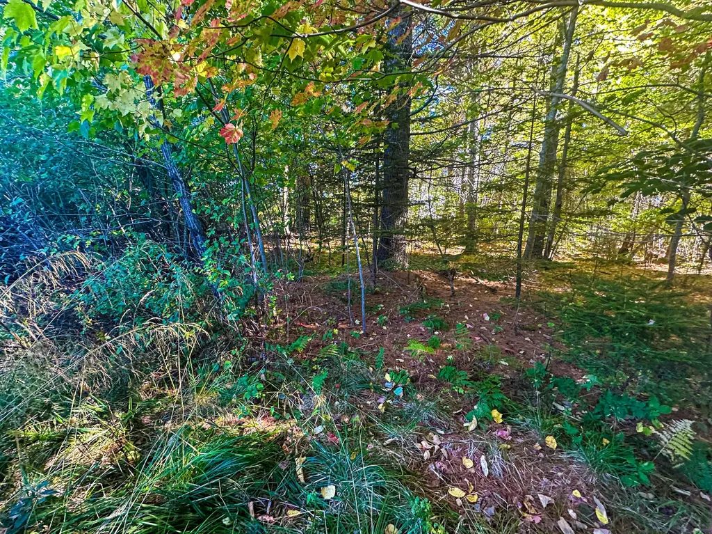 60 Constitution Avenue Hampden ME 04444