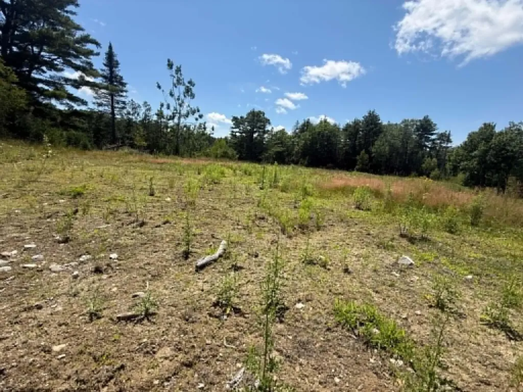 LOT123-E Center Drive Orrington ME 04474