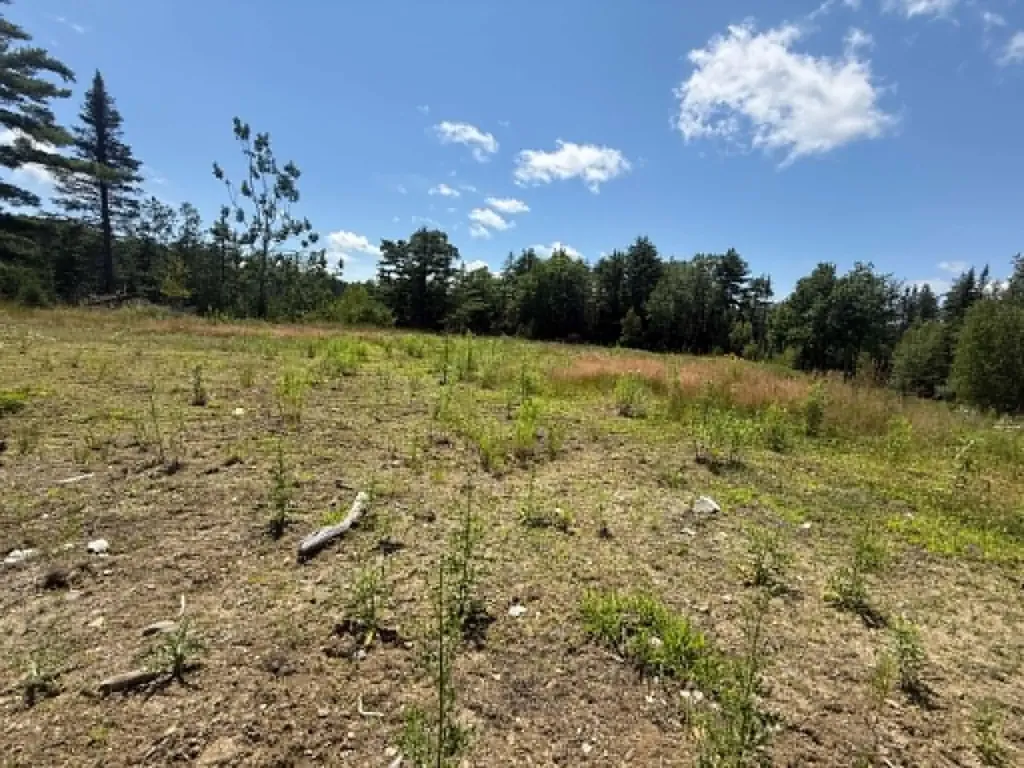LOT123-E Center Drive Orrington ME 04474