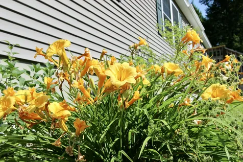 89 Boot Cove Lane Winthrop ME 04364