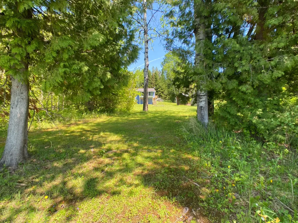 911 Sly Brook Road Wallagrass ME 04781
