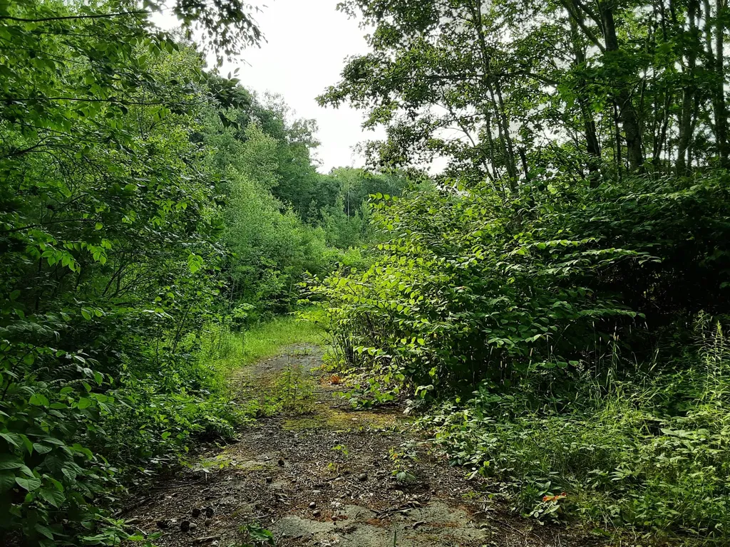 Jefferson ME, lot 2 Ridge Road