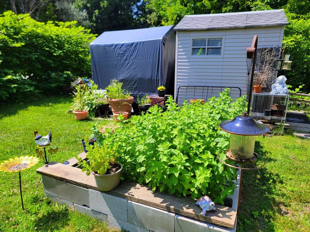 406 Depot Street Wilton ME 04294