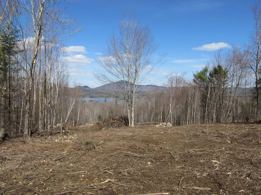 Lot 11 Lake View Road Weld ME 04285