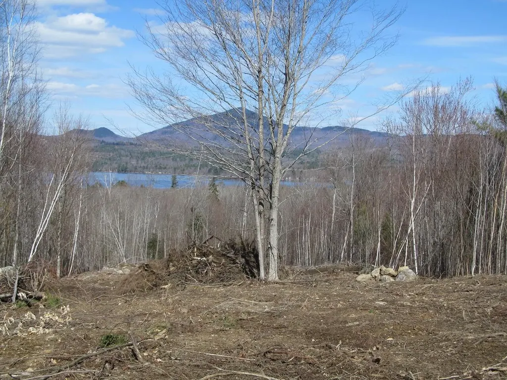Lot 11 Lake View Road Weld ME 04285