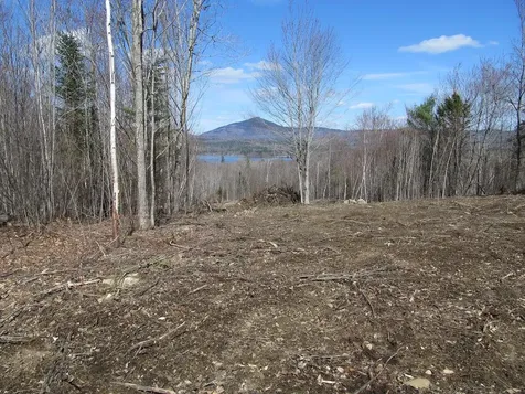Lot 11 Lake View Road Weld ME 04285
