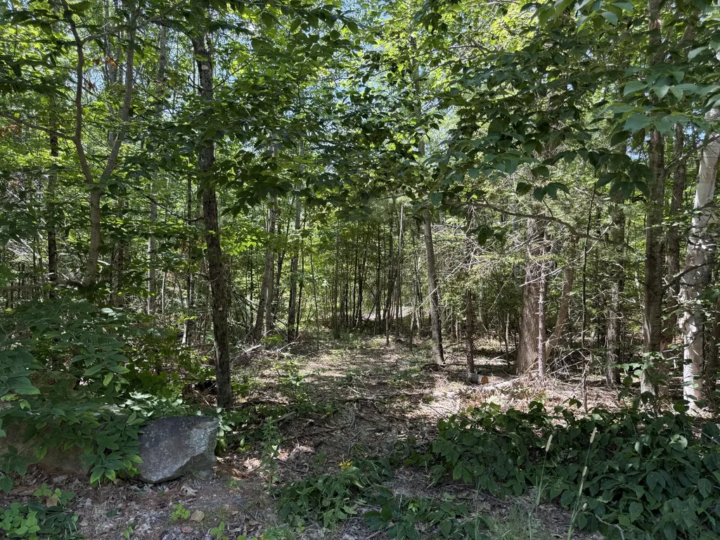 #00 Maplewood Road Newfield ME 04095