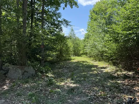 #00 Maplewood Road Newfield ME 04095