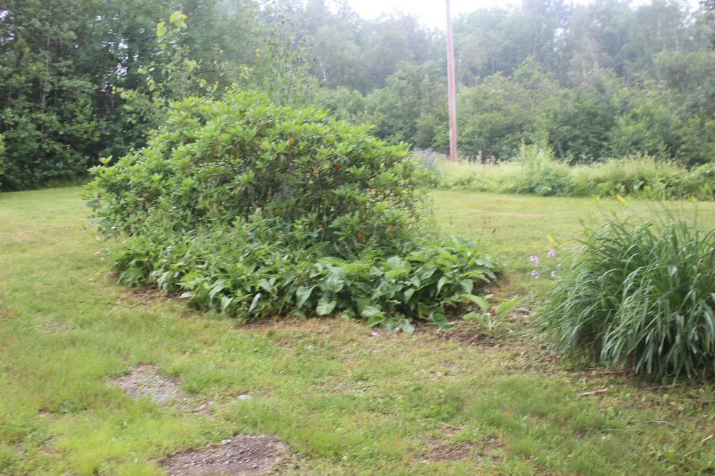 228 Wilcox Road Trescott Twp ME 04652