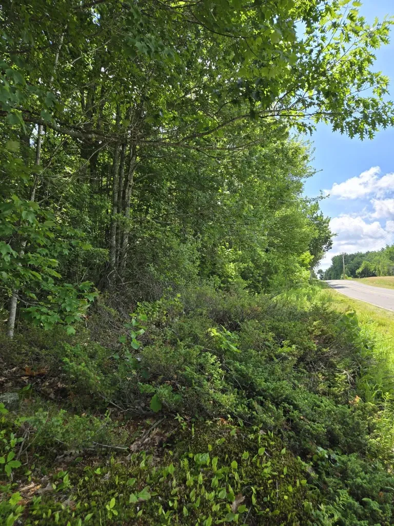 Tbd Pinnacle Road Liberty ME 04949
