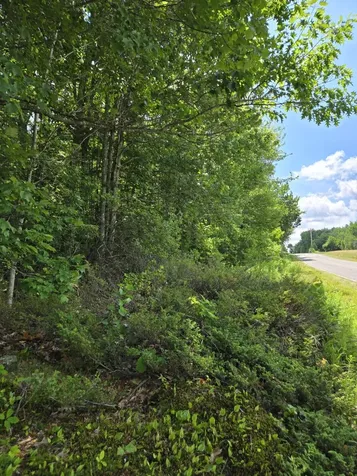 Tbd Pinnacle Road Liberty ME 04949