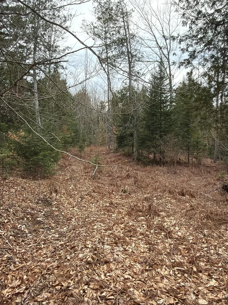 485 Hudson Road Corinth ME 04427