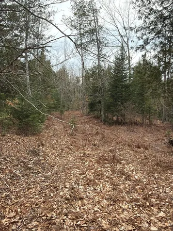 485 Hudson Road Corinth ME 04427