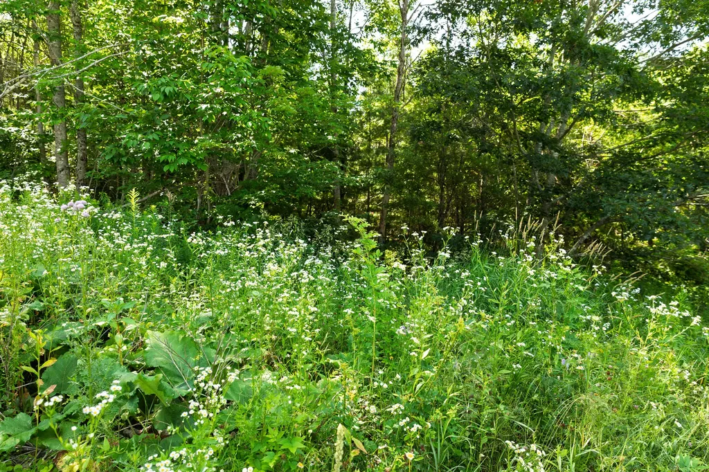 430 Sandy Shores Road Warren ME 04864