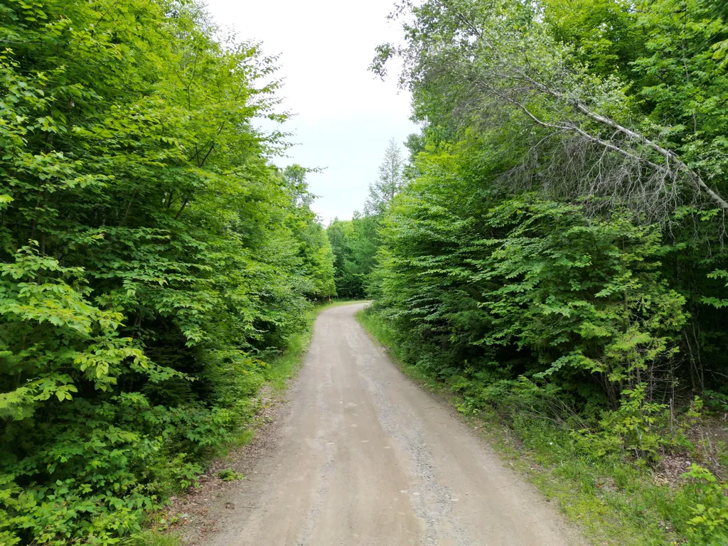 135 Clearcut Lodge Road Springfield ME 04487