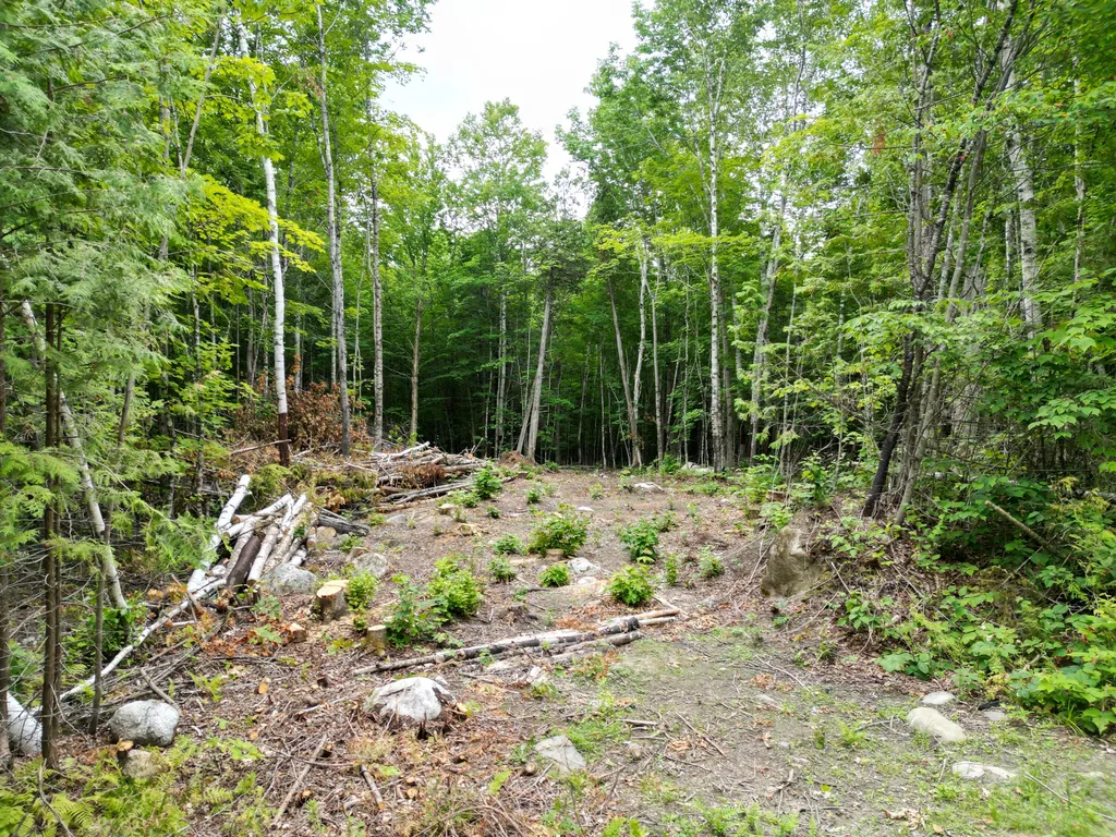 135 Clearcut Lodge Road Springfield ME 04487