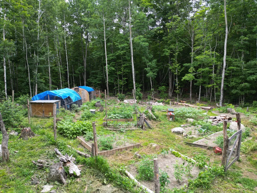 135 Clearcut Lodge Road Springfield ME 04487