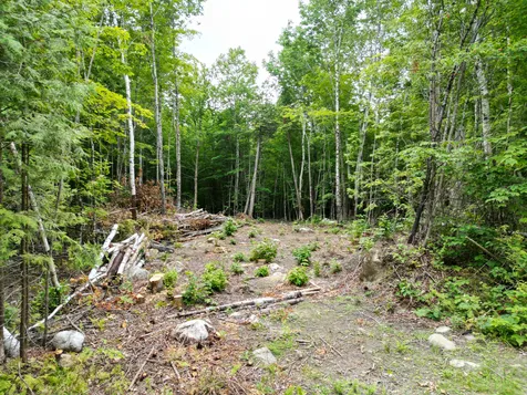 135 Clearcut Lodge Road Springfield ME 04487