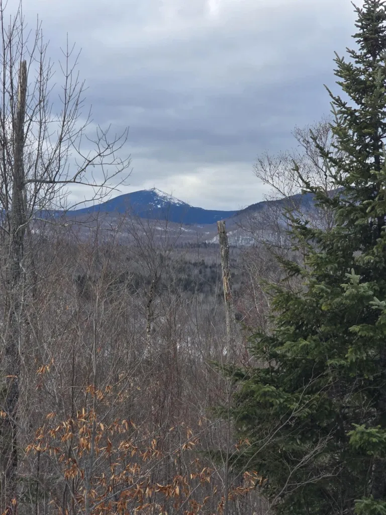 9 Final Drive Kingfield ME 04947
