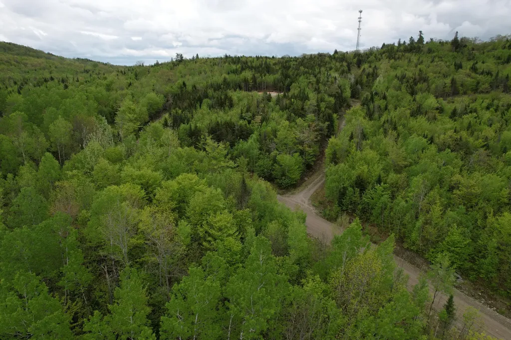 9 Final Drive Kingfield ME 04947