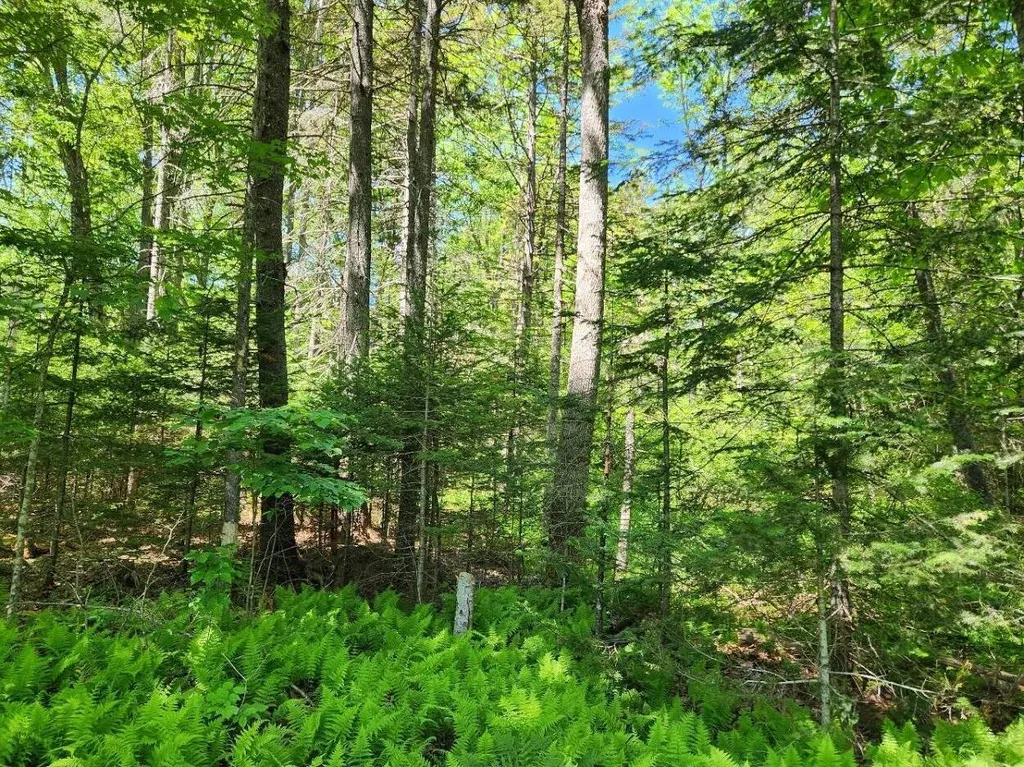 78 Old County Road Damariscotta ME 04543