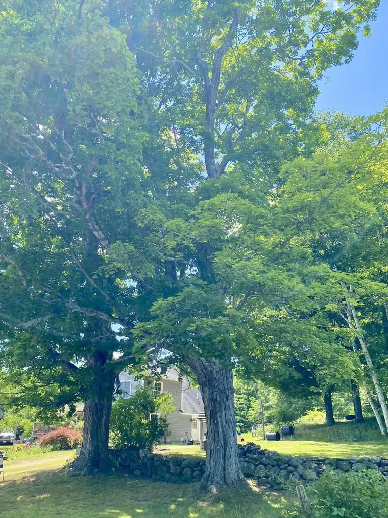 136 Station Road Hebron ME 04238