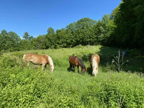 136 Station Road Hebron ME 04238