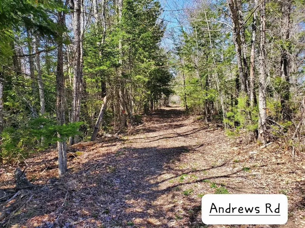 135 Andrews Road Corinth ME 04427