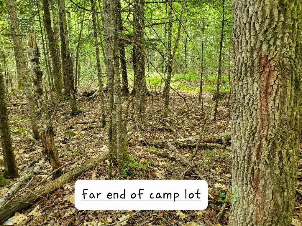 135 Andrews Road Corinth ME 04427