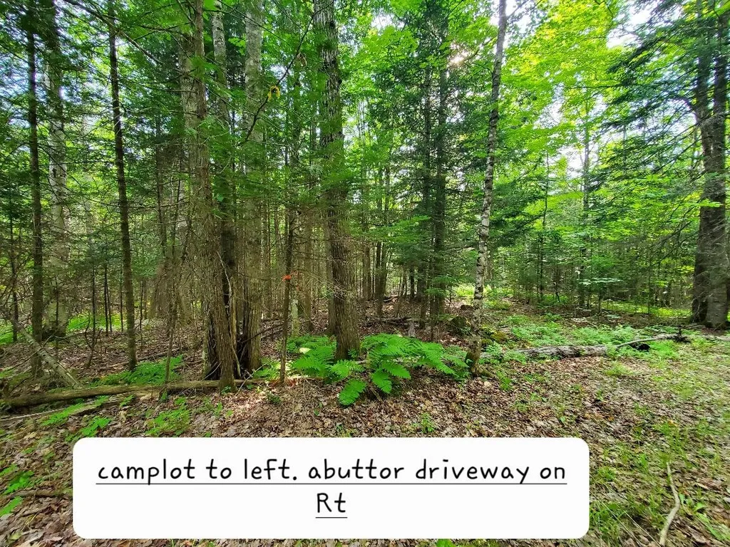 135 Andrews Road Corinth ME 04427