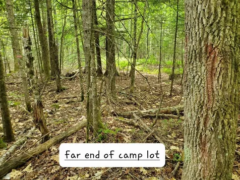 135 Andrews Road Corinth ME 04427