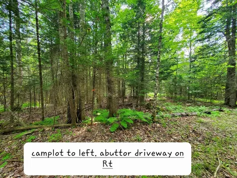 135 Andrews Road Corinth ME 04427
