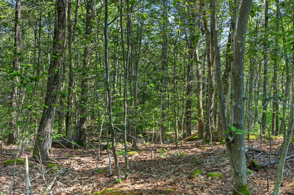 81 Mountain Road York ME 03902