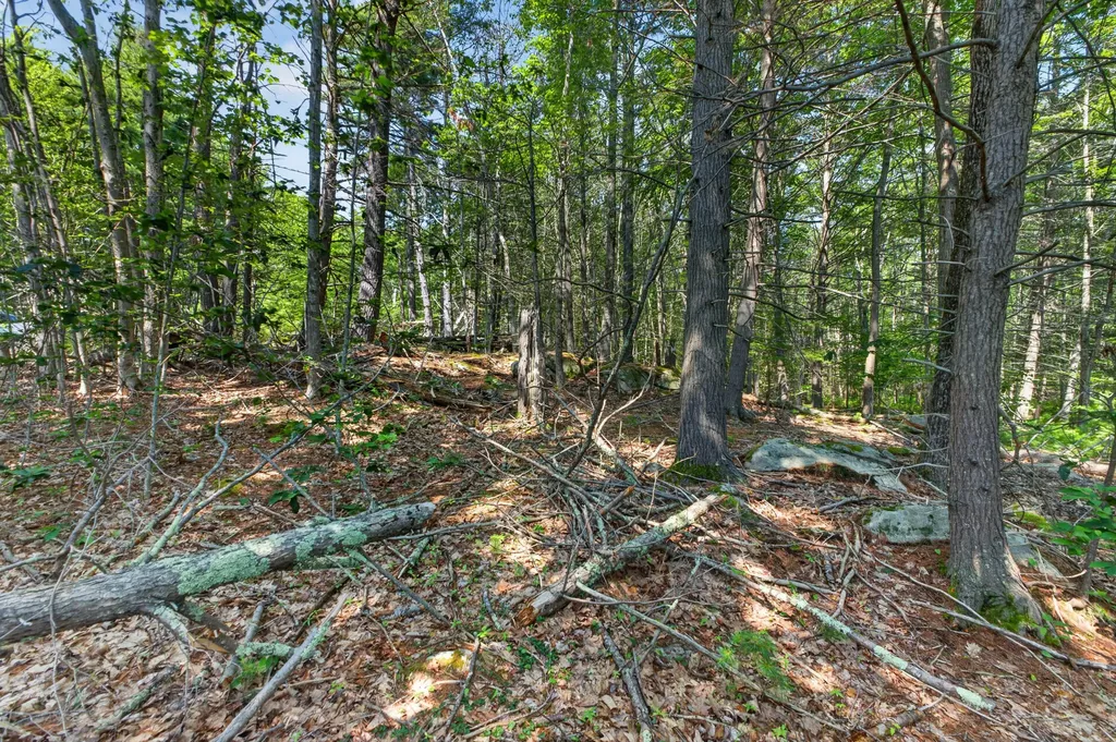 81 Mountain Road York ME 03902