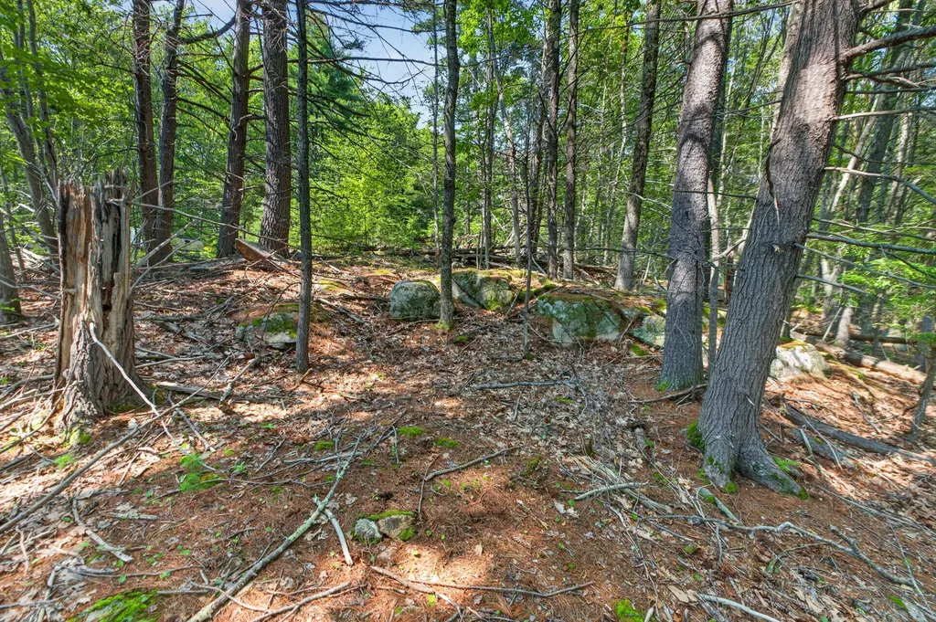 81 Mountain Road York ME 03902