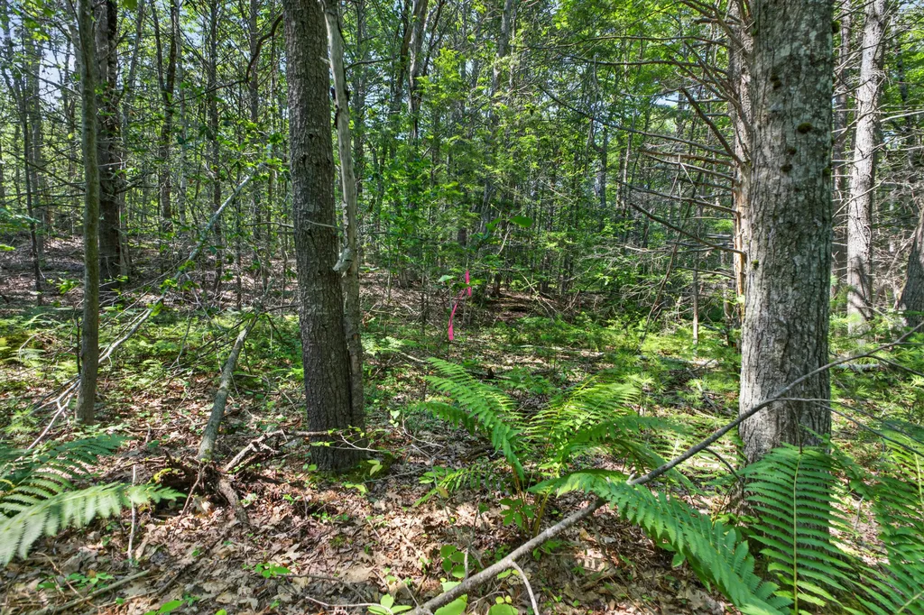 81 Mountain Road York ME 03902