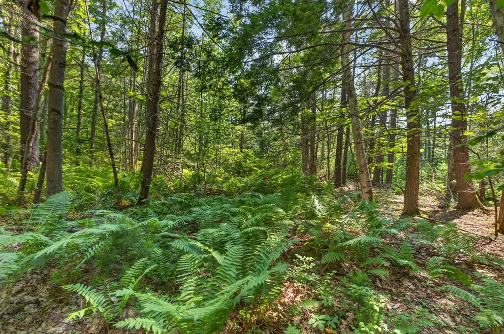 81 Mountain Road York ME 03902